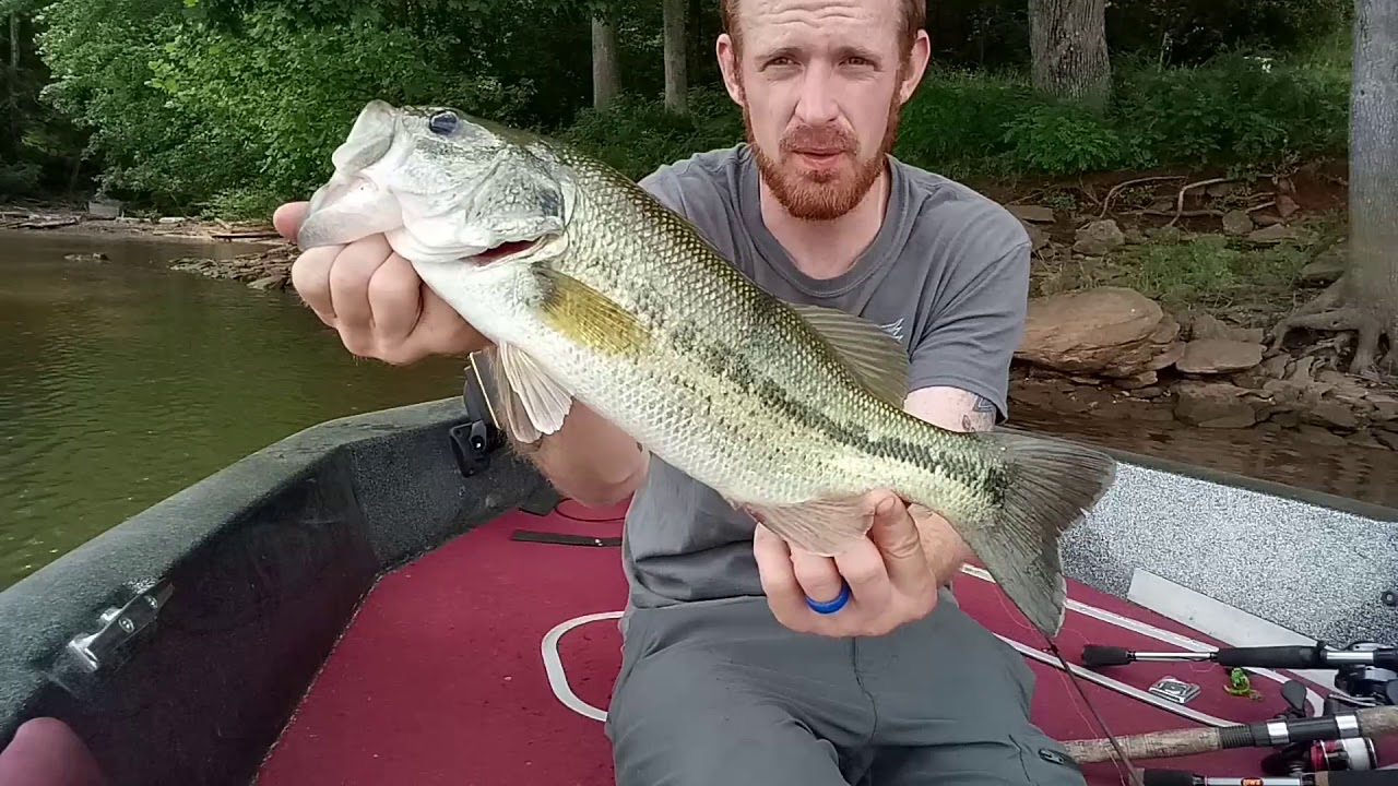 Lookout Fish Lake Lookout bass fishing - YouTube