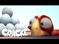CRACKE - Ed and the Eggs | Funny Compilations | Cartoon for kids