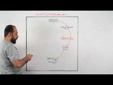 مخطط ظاهرة تعاقب الاجيال