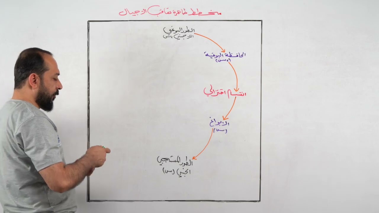 مخطط ظاهرة تعاقب الاجيال