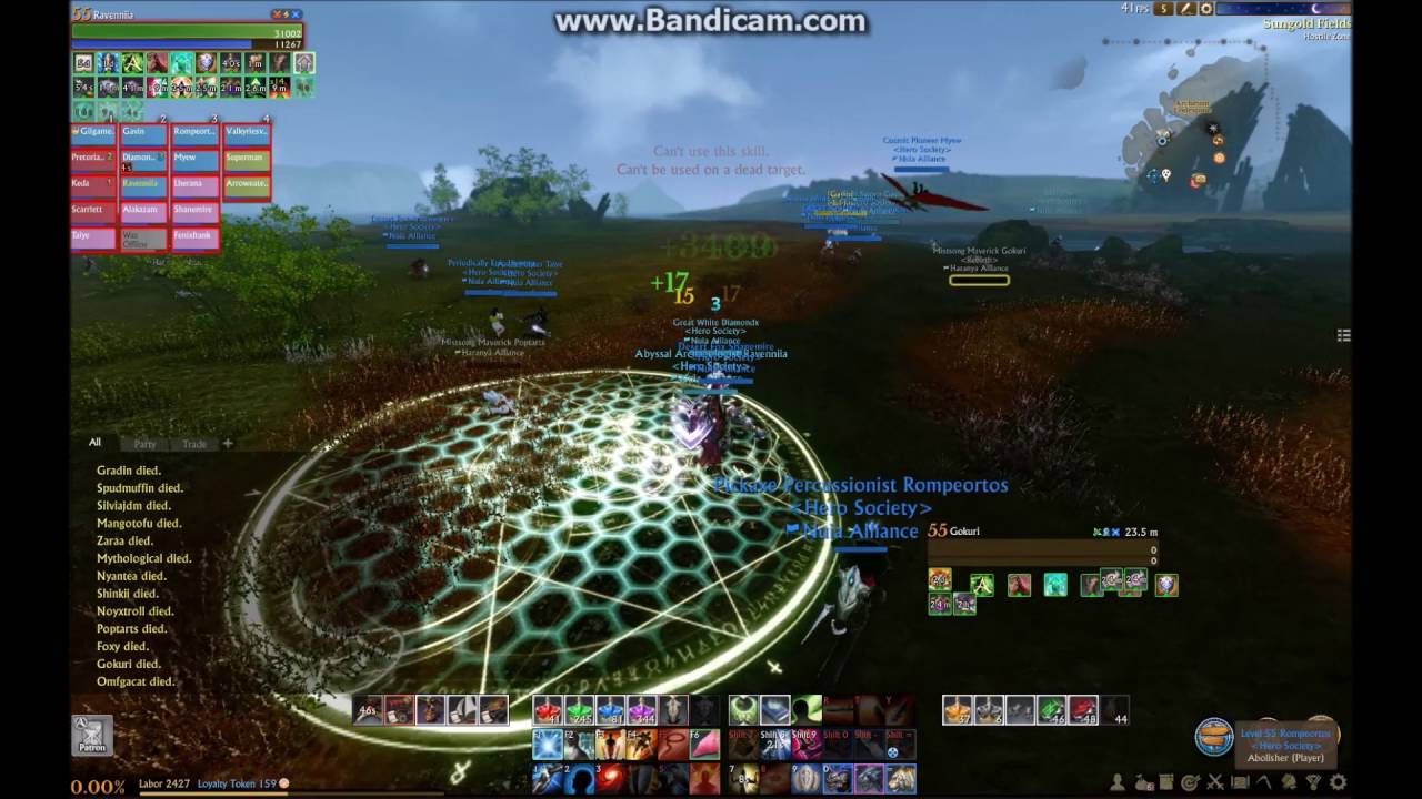 Archeage Hero Society PvP