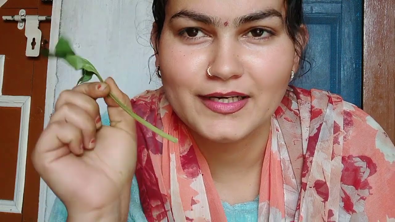 Dekho hum kitna kaam krte hai 😲