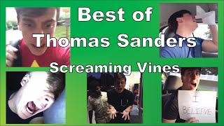 5 Minutes of Thomas Sanders Screaming Vines to Cure Your Seasonal Depression