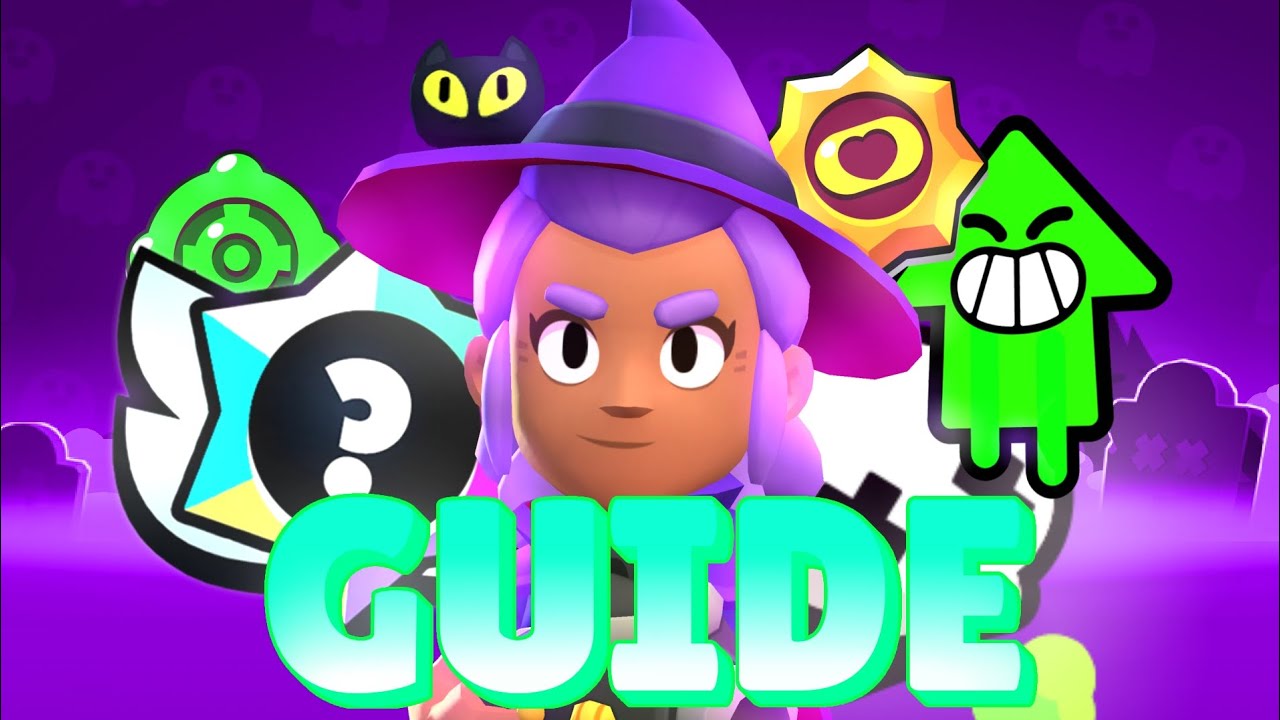 SHELLY PRESTIGE GUIDE