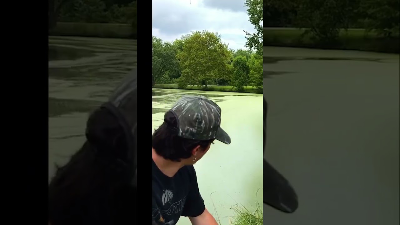 Florida Man vs. Tornado: Bow, Arrow, and Alligator Chaos! #shorts
