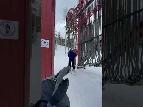Video: Umíte lyžovat od squaw po alpine?