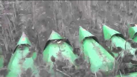 John Deere S680 & 1253-A RowCrop Head Harvesting Sunflowers