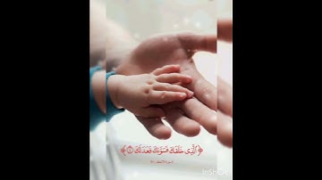 سوره الانفطار من الايه ٦ إلى الايه ٨