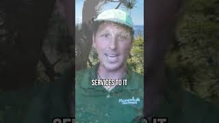 Soil Talk Ep. 2 | Moses Cooper: How Soil Shapes Tree Care P. 1