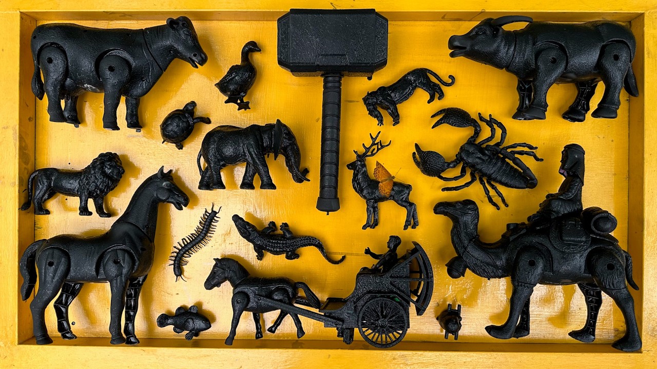 Membersihkan Mainan Hewan, Sapi, Bebek, Angsa, Ayam,Gajah,Simpanse,Singa,Unta,Buaya,Kangguru Part 23