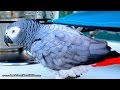 NEW!  First 4K Ultra HD Scenes from new Sony AX-100 Video Camera!  In British Virgin Isl, CARIBBEAN