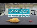 КАРАКУДИ на МЕТОД ФИДЕР през ЗИМАТА (Видео 14)