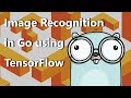 packagemain #4: Image recognition in Go using TensorFlow