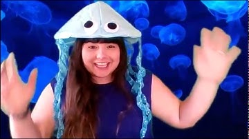 6th Grade - Amplify Login Instructions