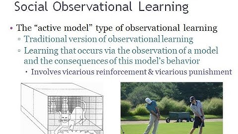PSYC 370 Video Lecture - Social vs. Asocial Observational Learning