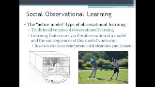 PSYC 370 Video Lecture - Social vs. Asocial Observational Learning