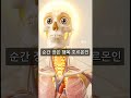 딱 7일! '이것' 매일 먹었더니 피부 광채+피로 탈출?