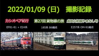 【JR東】カシオペア紀行，185系で行く貨物線の旅，成田山初詣やまなし号