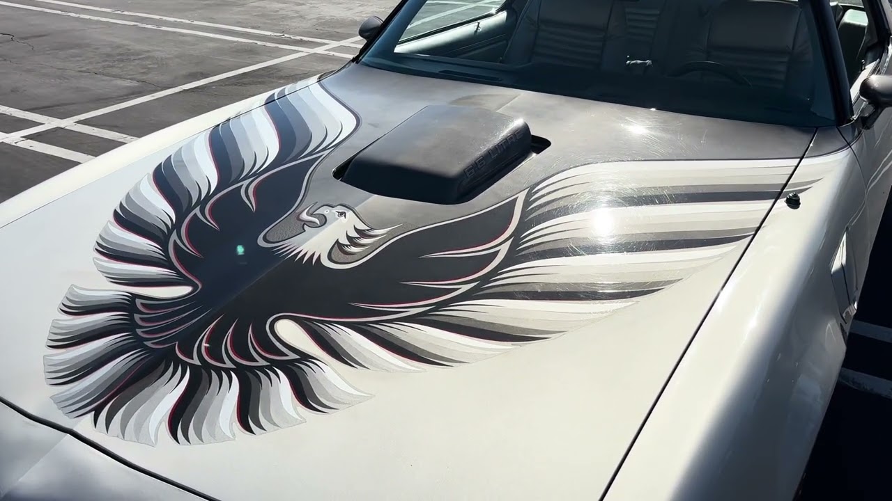 1979 10th Anniversary Trans Am walk around and comments