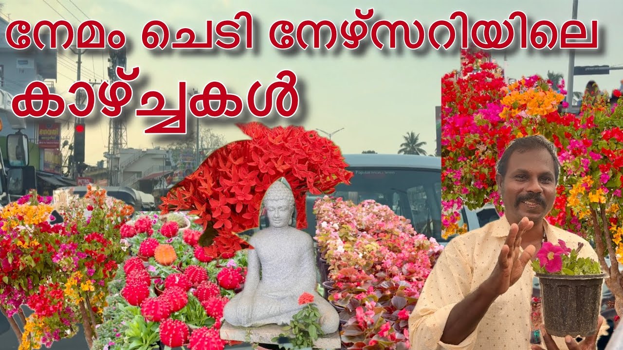 പൂക്കളുടെ അലങ്കാരം നേമം 🌷💐