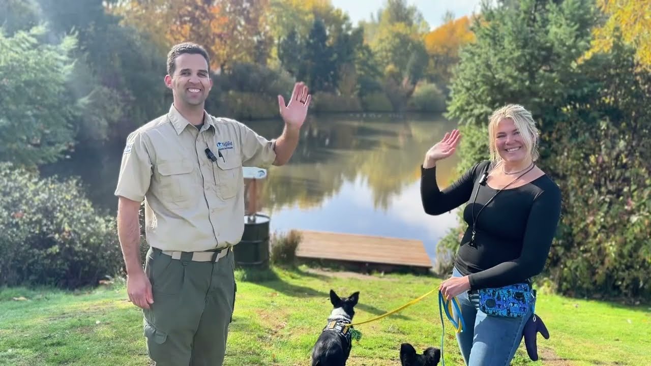 Living Next to Nature: Goose management with Geese Guys 
