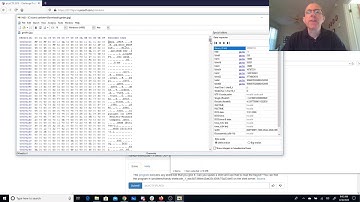pico2019 glory of the garden