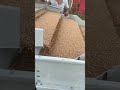 Tired of dirty wheat? This machine cleans it in 1 pass!
