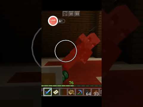 Eita começo de live tenso 😱