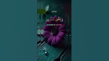 #سعد_الغامدي #قران_كريم #اكسبلور #تلاوات_خاشعة #راحة_نفسية #قرآن #لايك #قرآن_الكريم_حالات_واتساب ❤