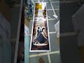 Video Image