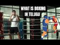 What is Boxing? in Telugu #boxing #telugu