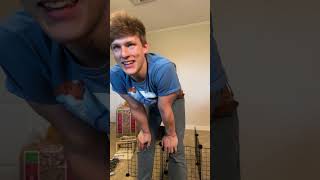 Setting my guinea pigs cage up (short)