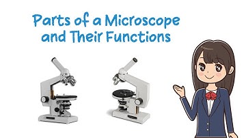 Parts of a Microscope and Their Functions | Simple Animation