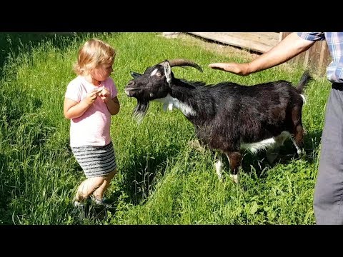 Family Trip to Outdoor Museum of Folk Culture in Kolbuszowa, Poland