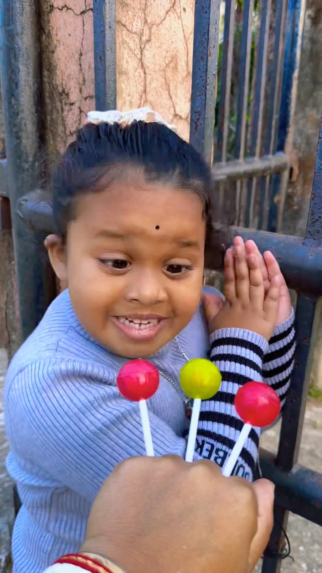 They Like Lollipop Afterall???? #mistihappylifestyle #shorts #viral #funny #shortvideo