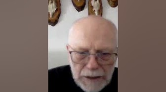 Wolf bei Stockach gesichtet: Experte gibt Tipps für mögliche Begegnung thumbnail