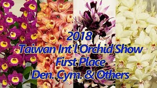 2018 Taiwan International Orchid Show (TIOS)-Den. Cym. & Others- First Place