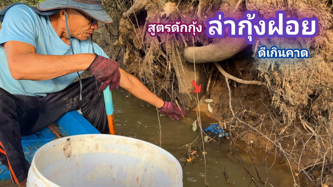 ดักกุ้ง