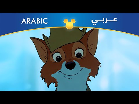 روبين هود حب يعيش ويعيش مصري