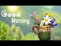 Morning Relaxing Music - Peaceful Piano for Stress Relief | Relaxing Nature Sounds - Birds Chirping