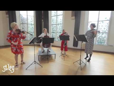 Video: Kwartet Uitgevoerd Door Een Trio