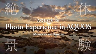 AQUOS R6 Photo Experience in AQUOS