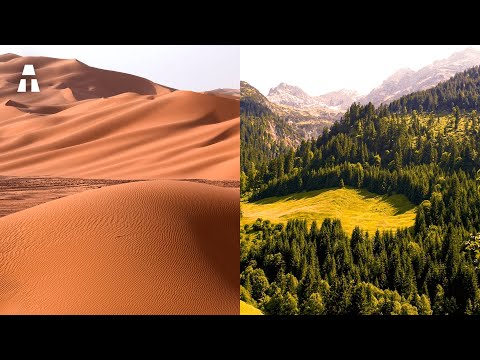 Vidéo: Pourquoi les déserts ont-ils un sol pauvre ?