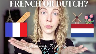 Should I learn French or Dutch in Brussels?
