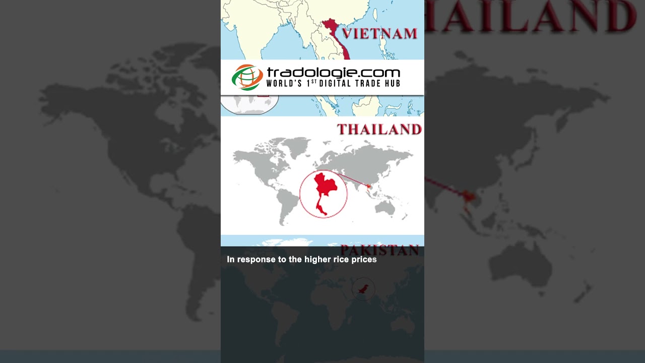 Global Alert: Rice Shipments Globally May Decline by 4% due to India's Rice Export Ban.