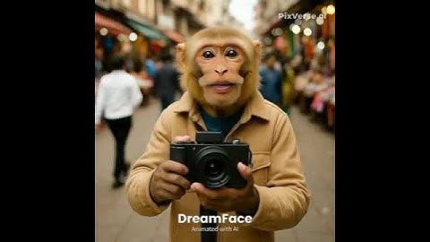 Monkey vlog #monkeyvlogs  #monkeys #aivlogs #monkeyvideo #aimonkeyvlog #aimonkeyvlogger #monkeys