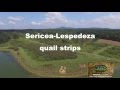 LAND FOR SALE: Property Info Video  2,088+/- ACRES TALLADEGA Co. Al. Jones Farm