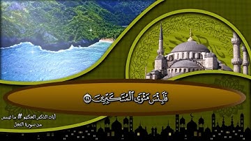أيات الذكر الحكيم ❤️ ما تيسر من سورة النحل