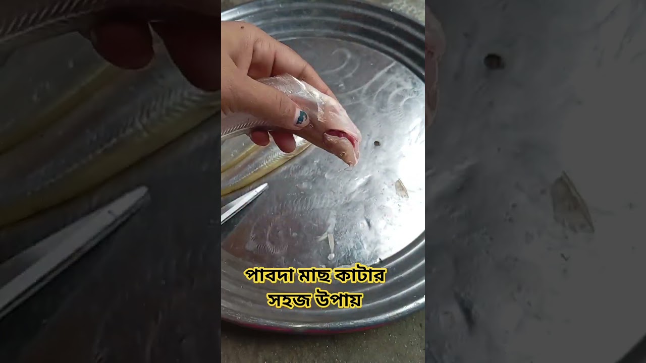 পাবদা মাছ কাটার সহজ উপায় 