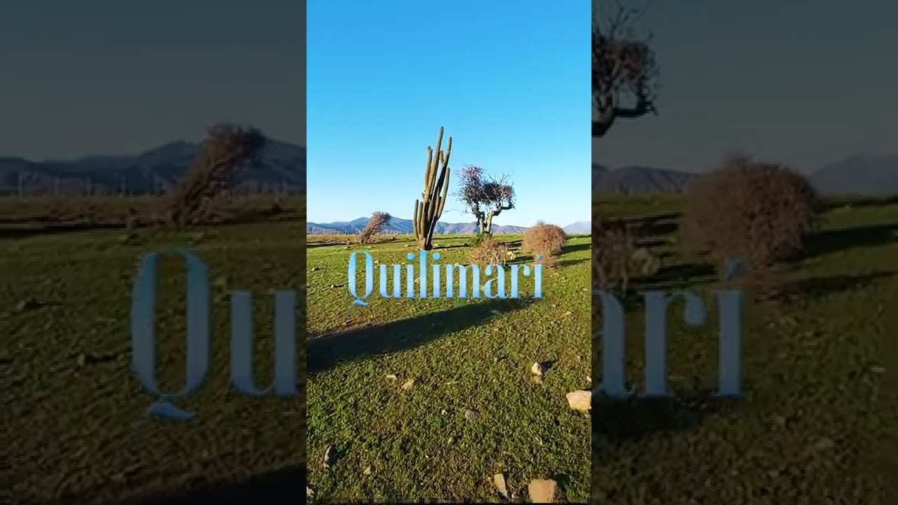 El hermoso Quilimarí